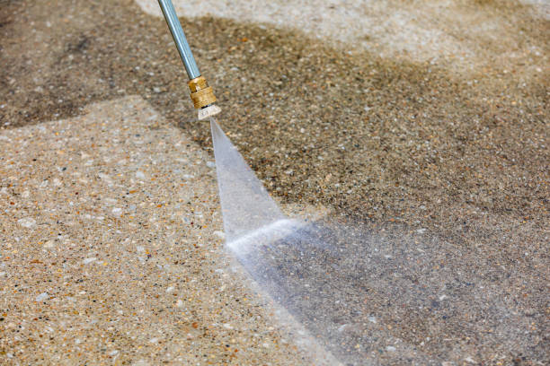 Animal Enclosure Cleaning in Progress, PA